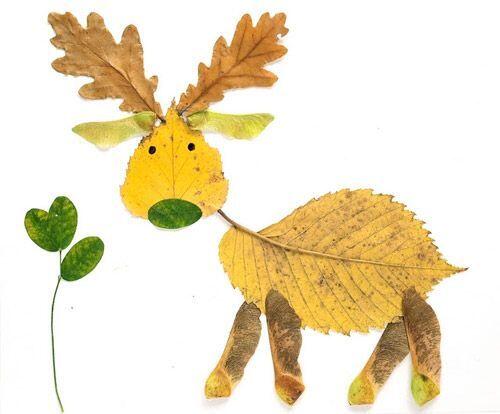 Cerf