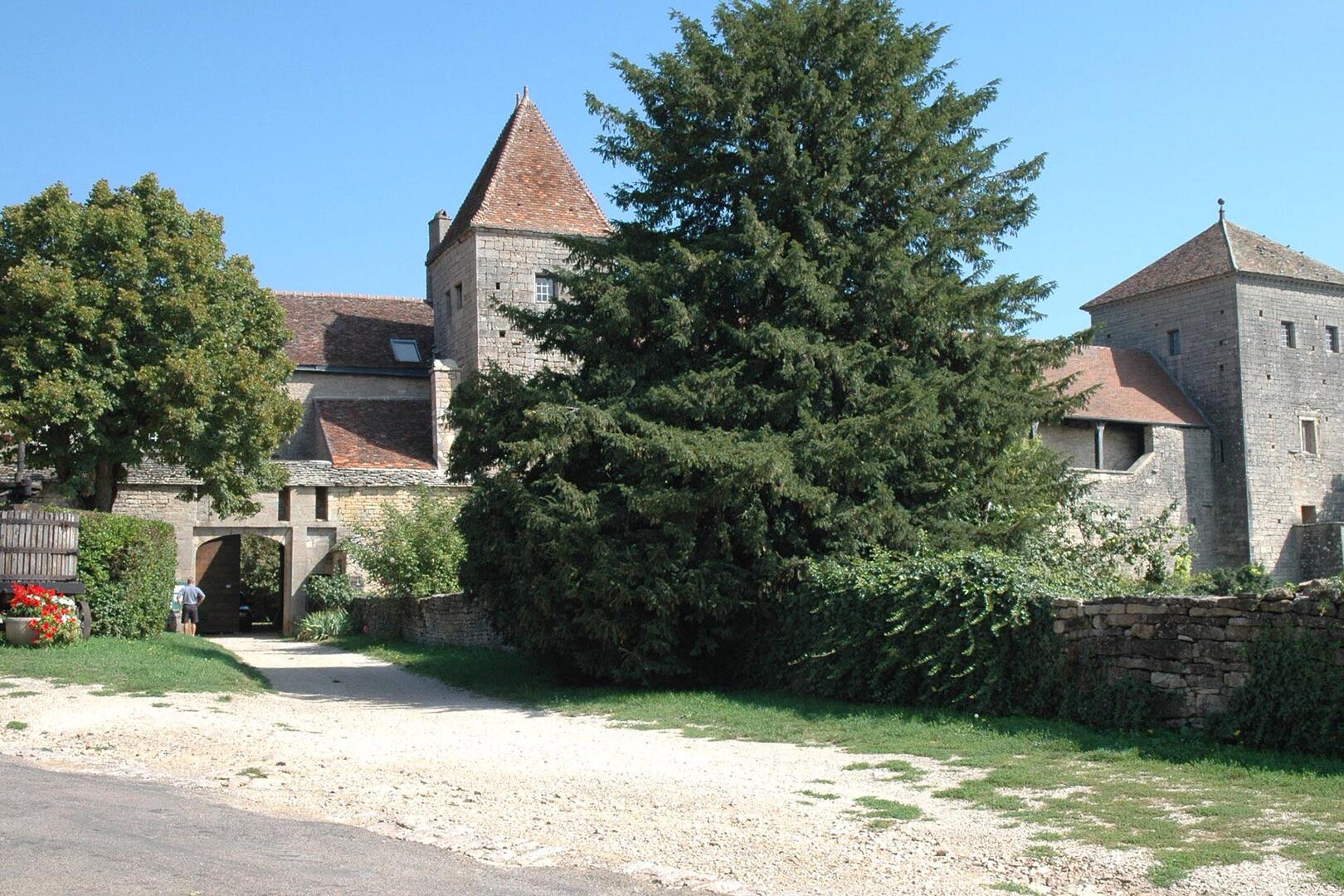 Château de Gevrey-Chambertin
