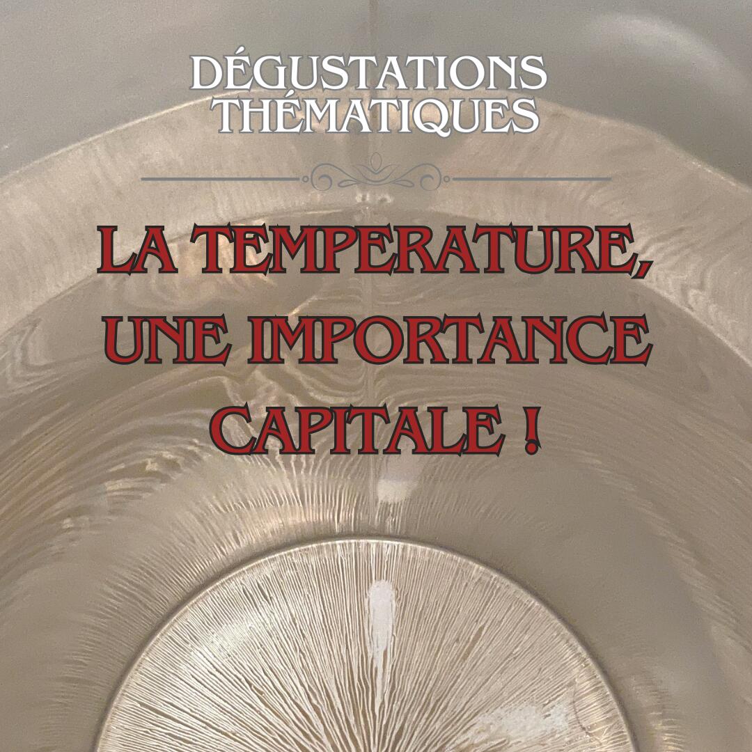 Chateauneuf-du-pape, l’âme du rhone sud 2026 - 2