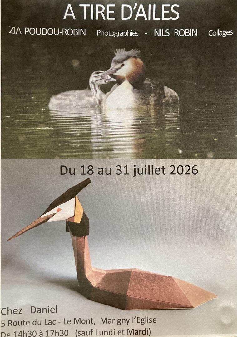 A tire d'ailes