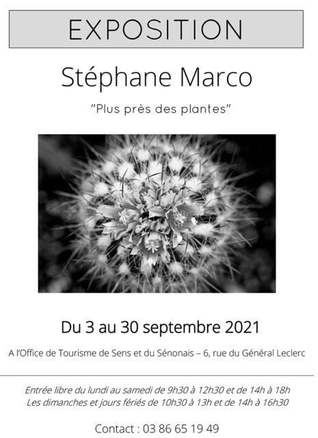 Affiche-Stephane-Marco-Plus-pres-des-plantes-465x640