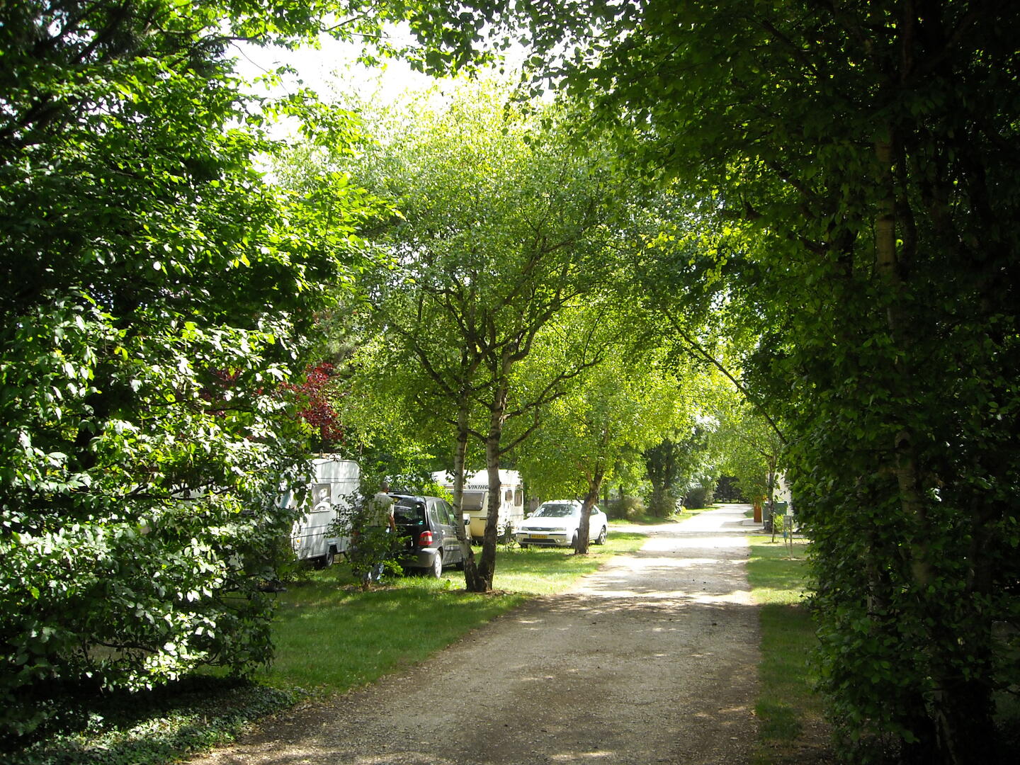 Allée 1