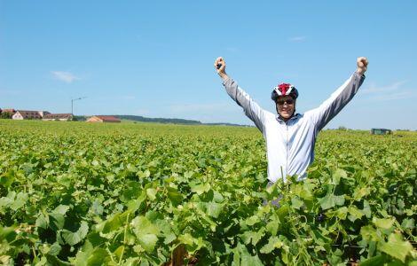 BURGUNDY DETOURS 2