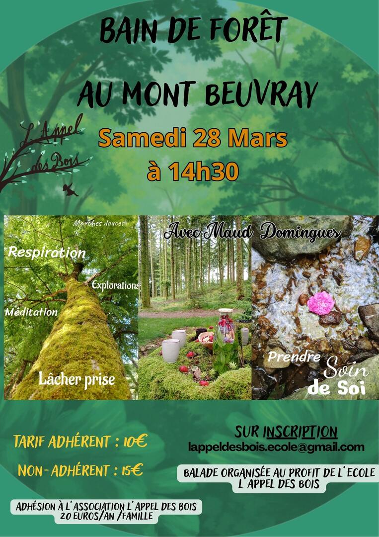 Partez à la découverte des plantes sauvages comestibles avec Elodie ! - 32