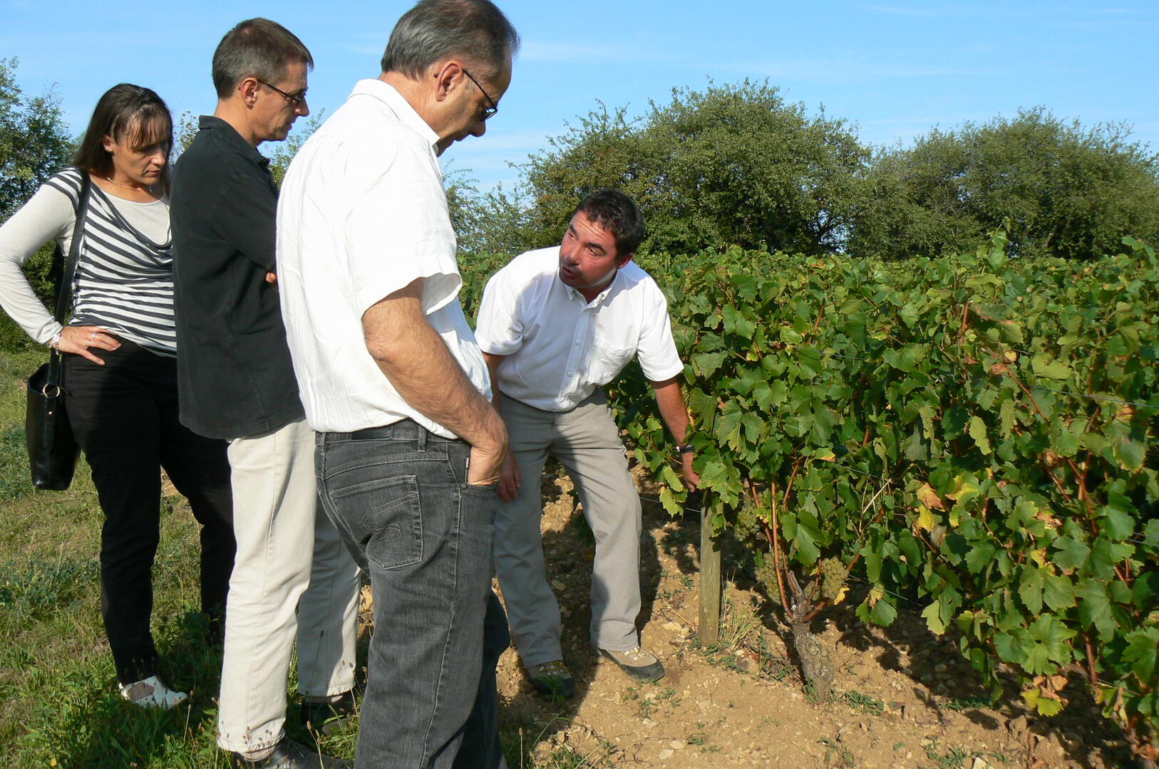 Balade Atelier Vigne et Vin