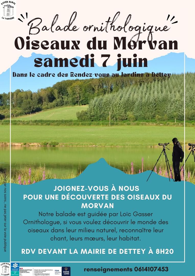 Balade ornithologique - 1