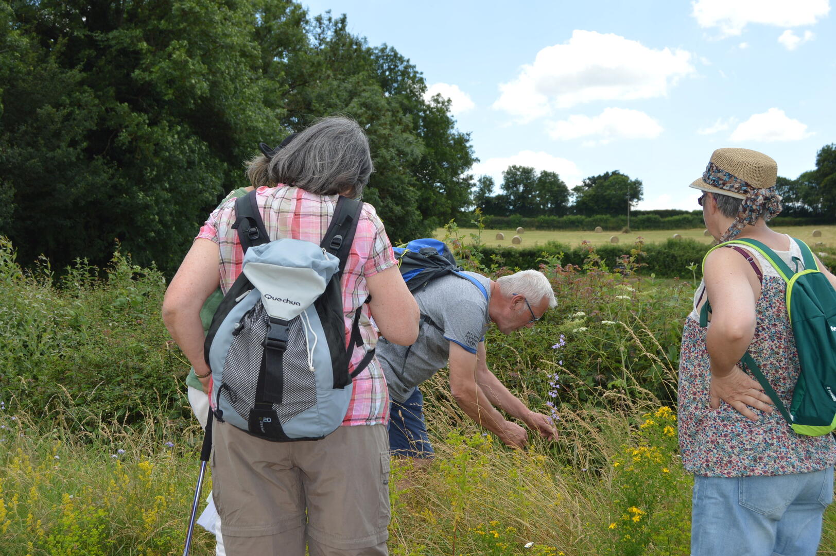 Marche à Tintry/Auxy