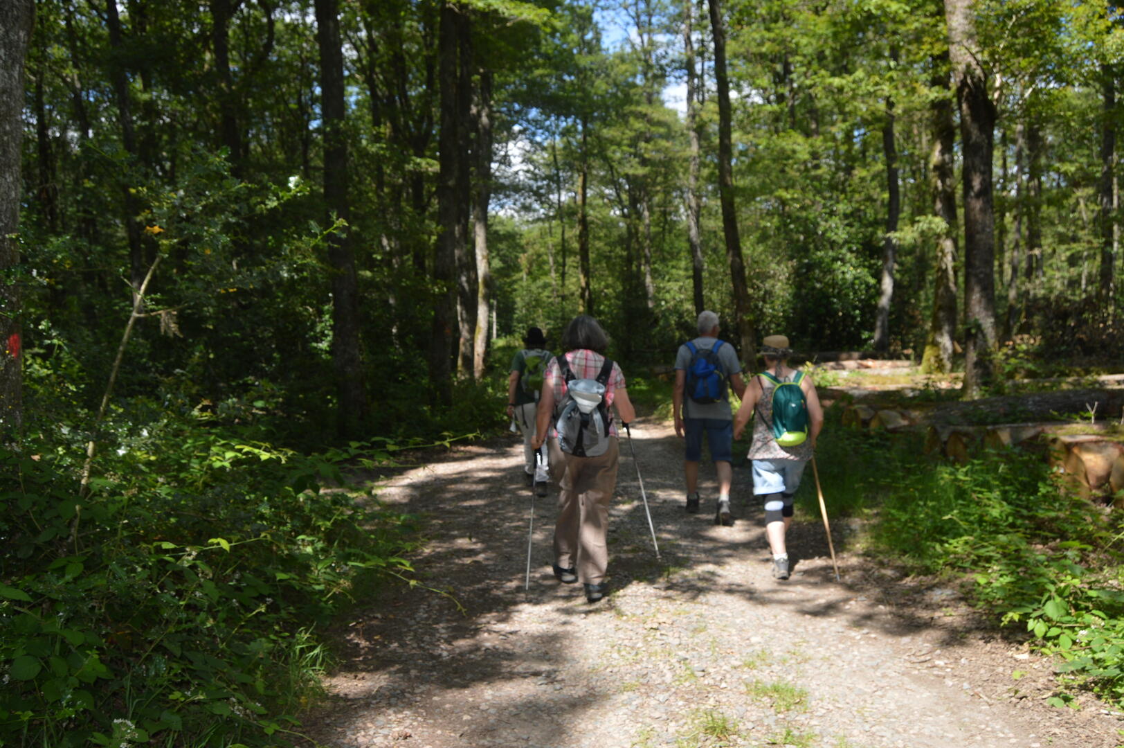 Balade d'été à Tintry