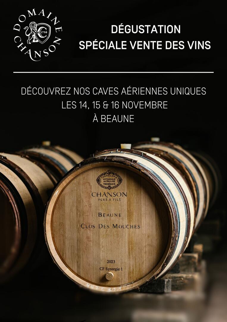 Nouveau Visuel Pub Insta VDV 25  - 5