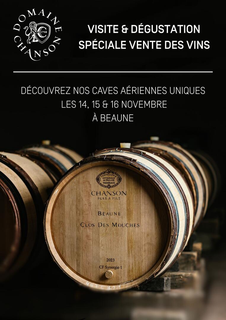 Nouveau Visuel Pub Insta VDV 25  - 3