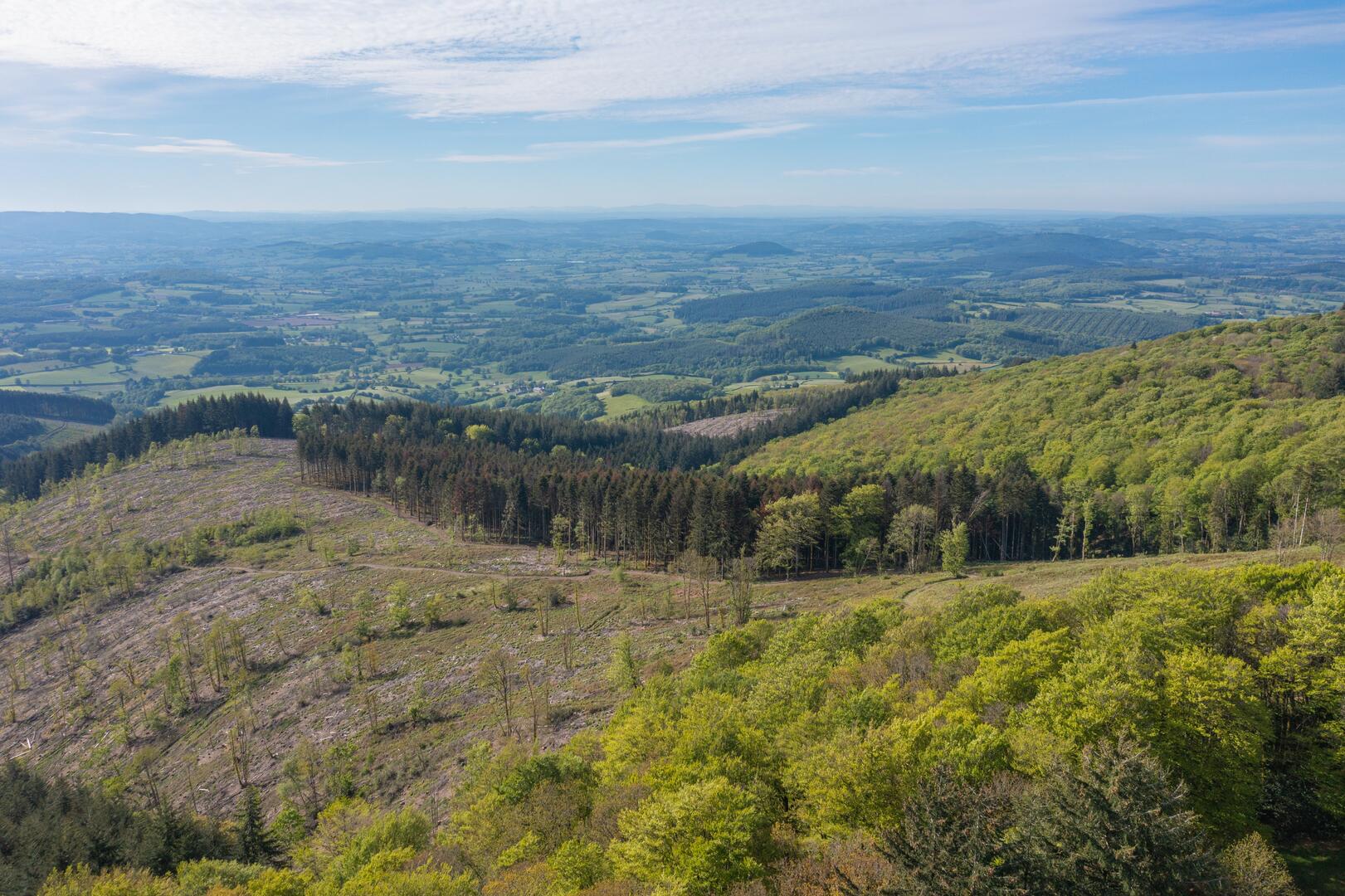 DJI_0899