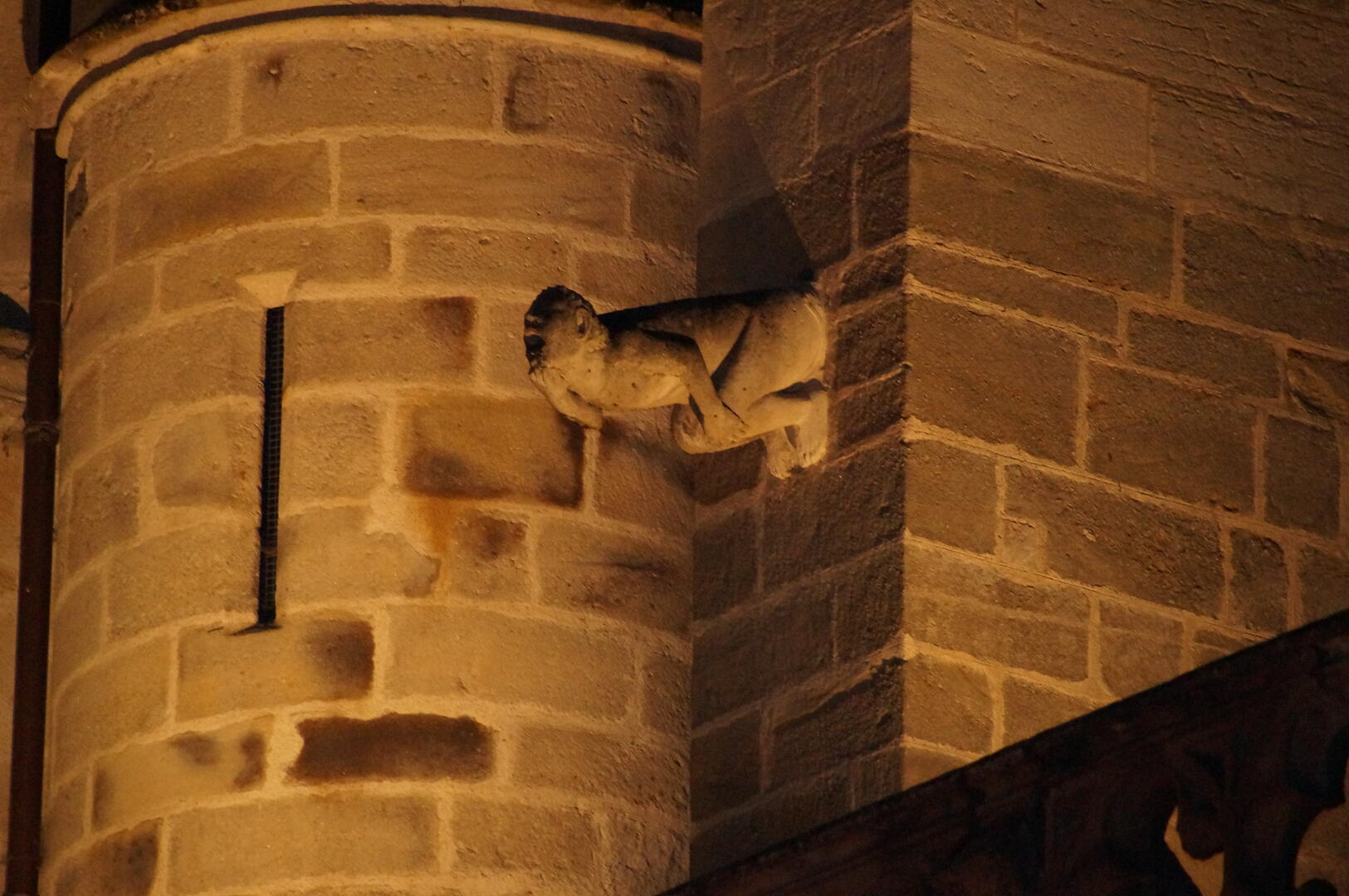 gargouille de la cathédrale Saint-Lazare