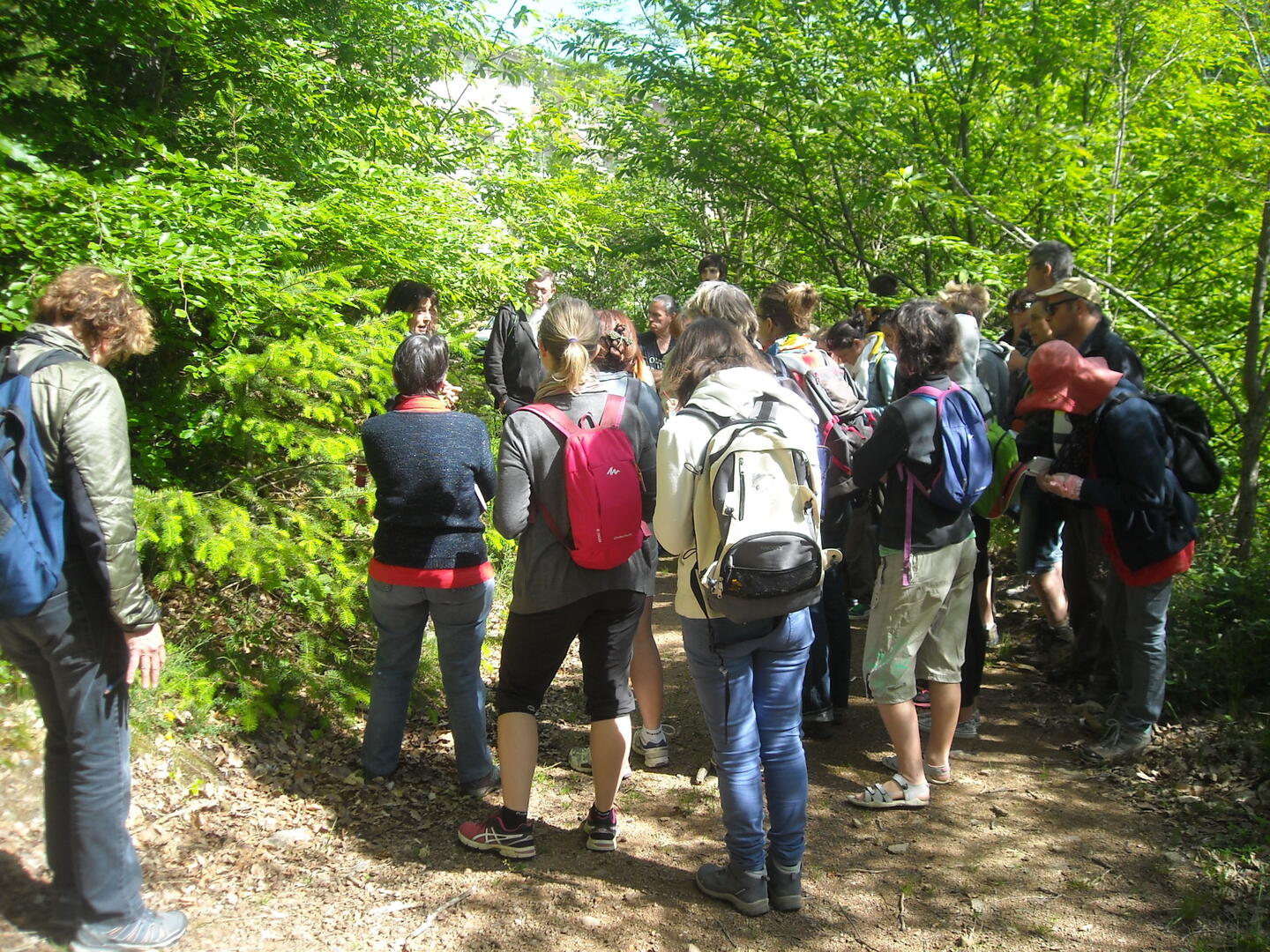 Groupe sortie botanique
