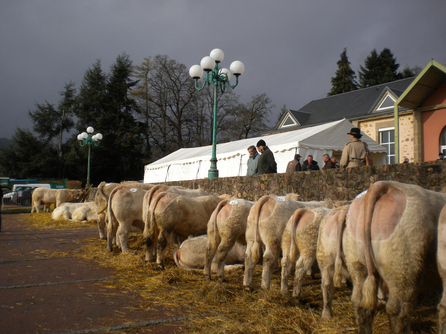foire des galvachers