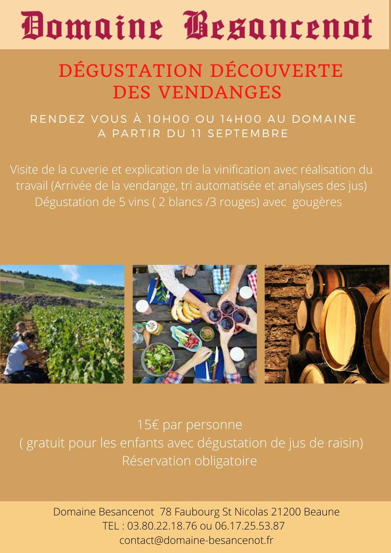 Dégustation découverte des vendnages - 3