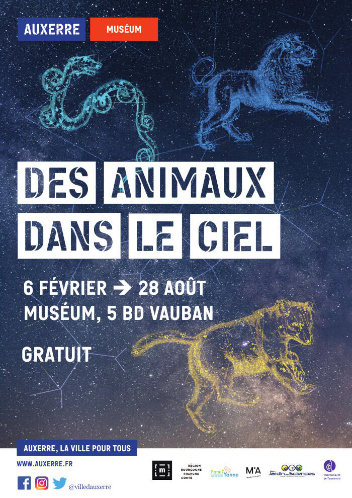 Des animaux dans le ciel