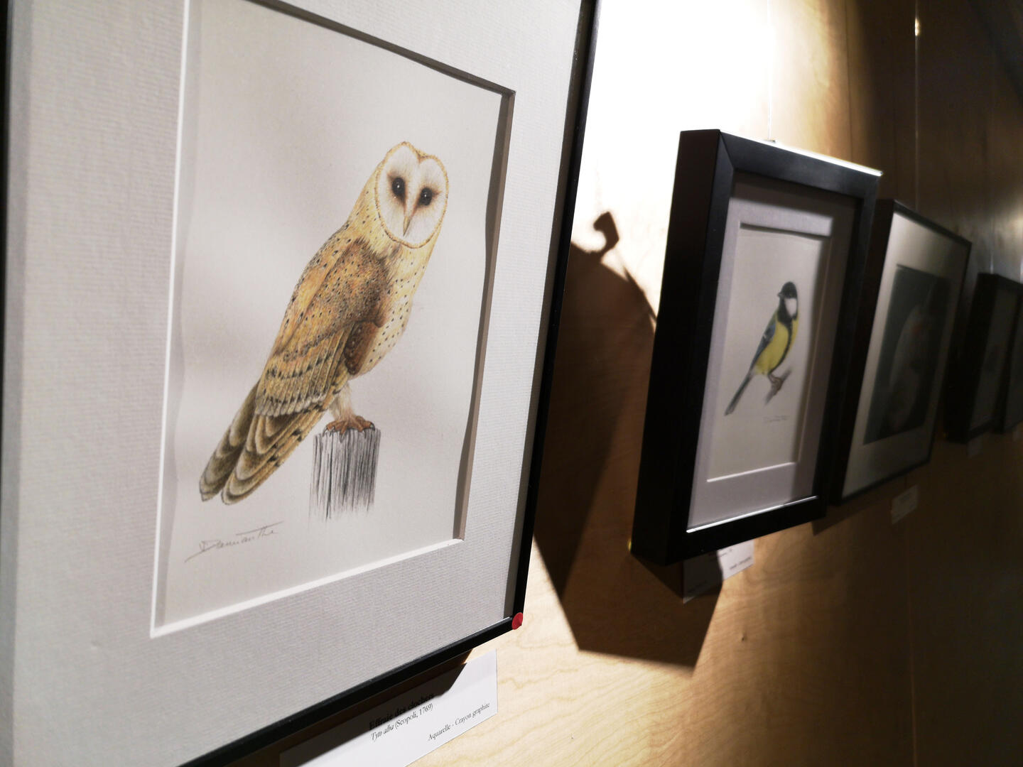 Exposition Vanessa Damianthe