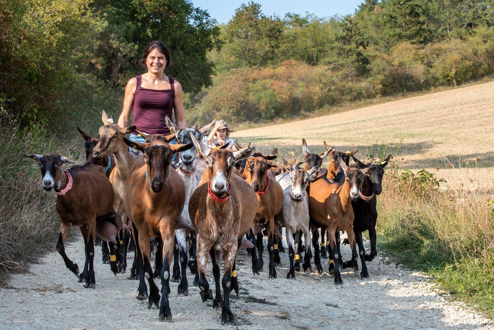 Ferme Ulteria