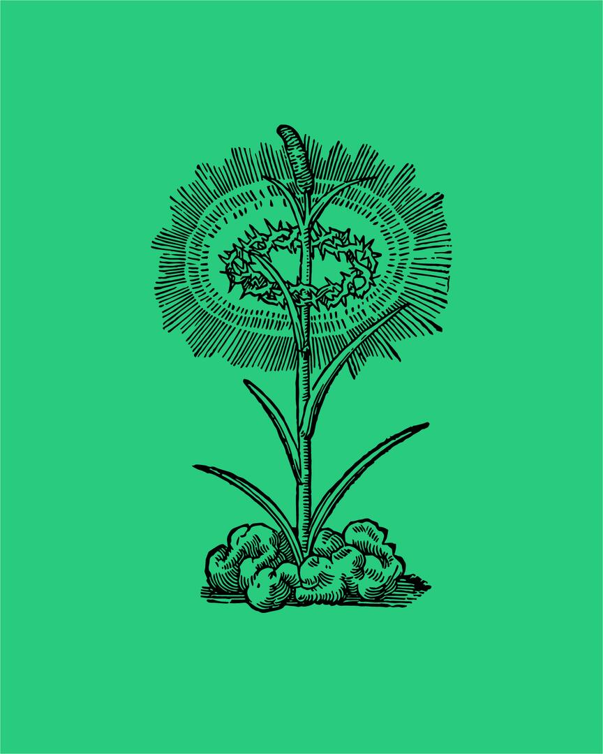 Festival internantional d'opéra baroque