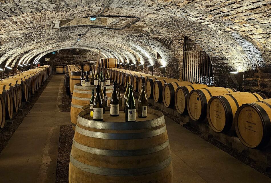 Anciennes caves - Hôtel-Dieu des Hospices Civils de Beaune