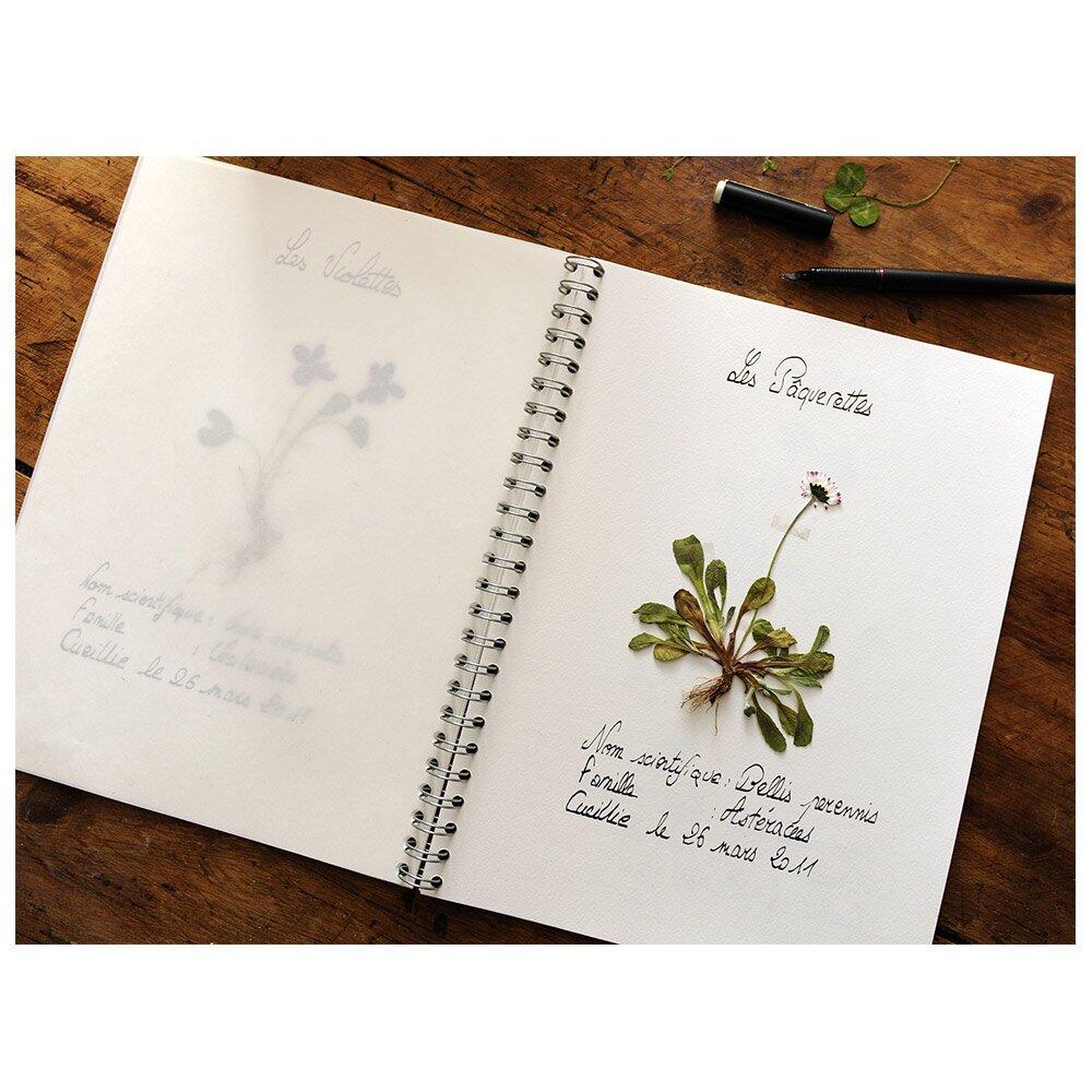 Herbier d'été