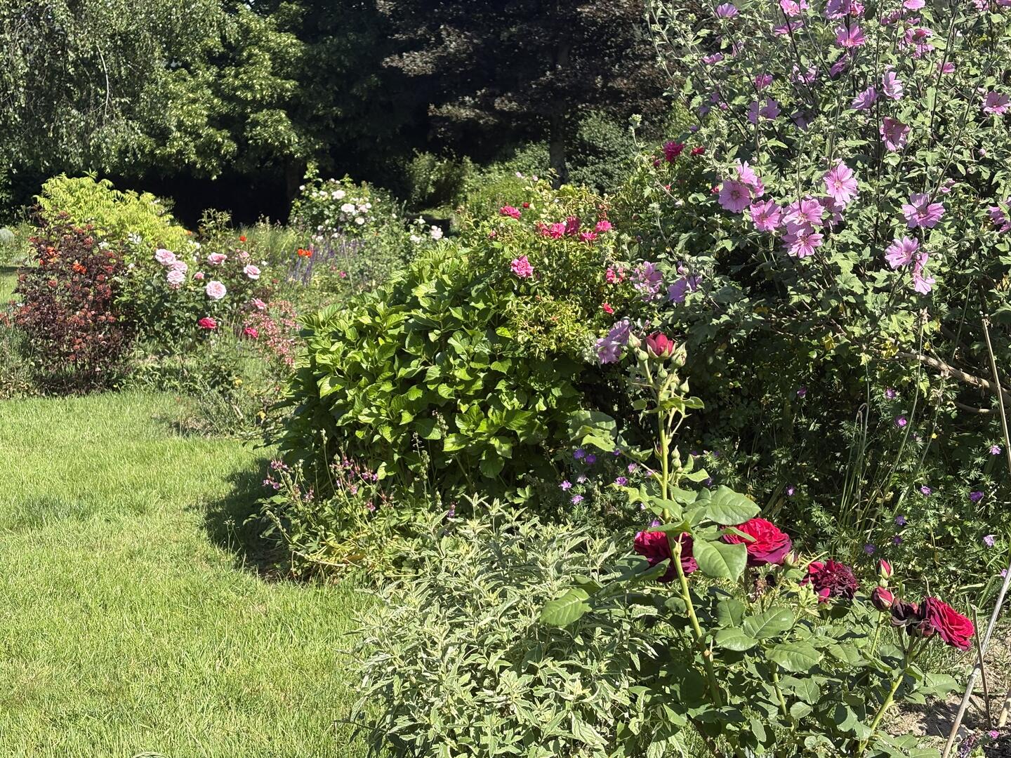Le jardin du Poivre