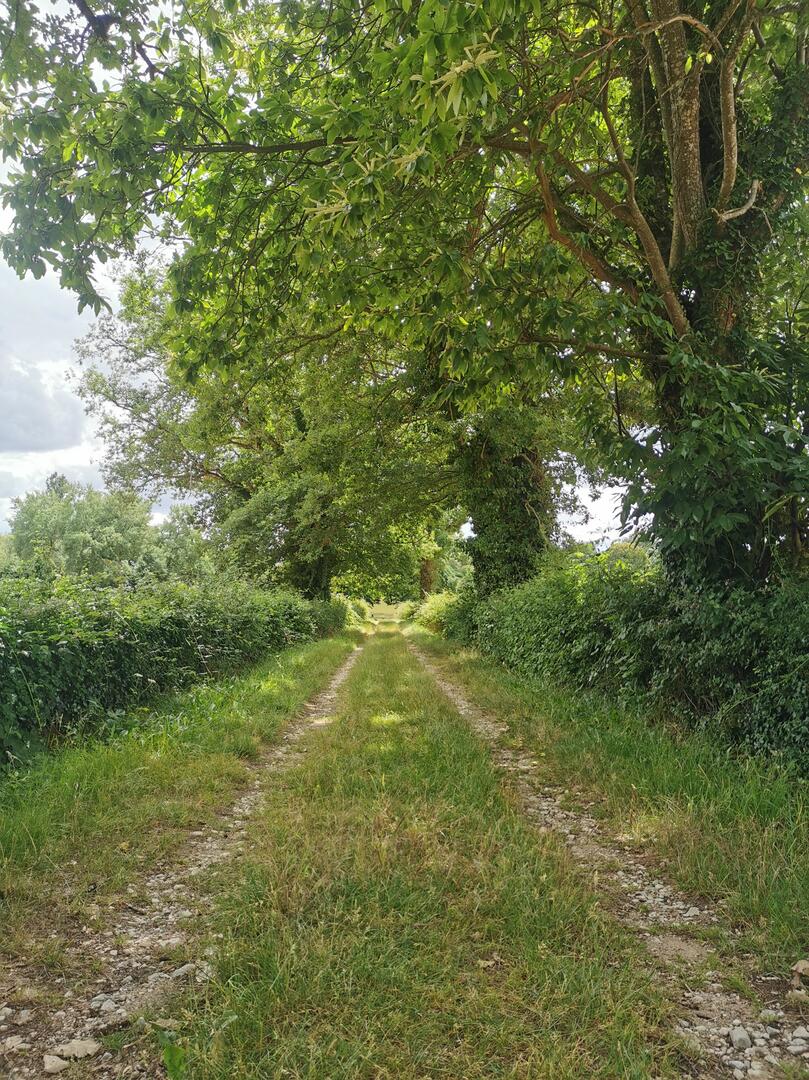 CONTE DE RANDONNÉE À TREIGNY