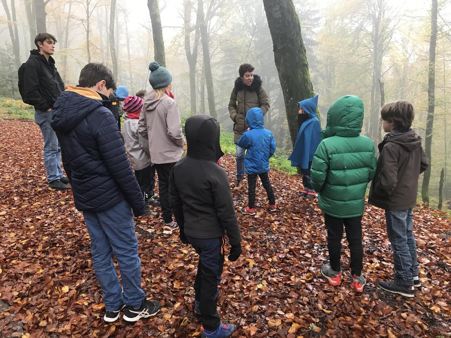 une balade pour les curieux de nature
