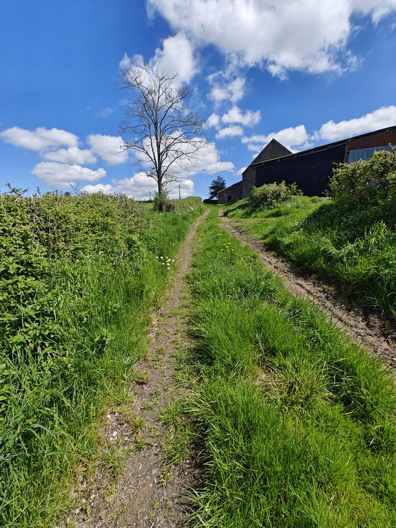 Photo sur le parcours