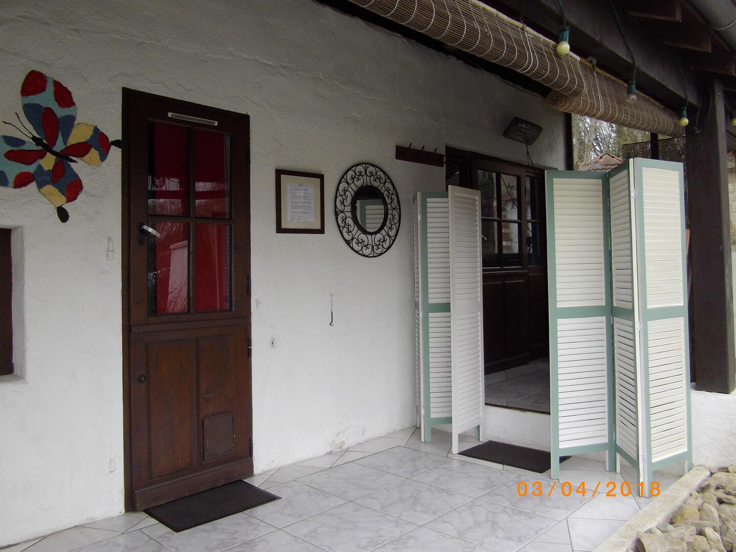 IMGP6537