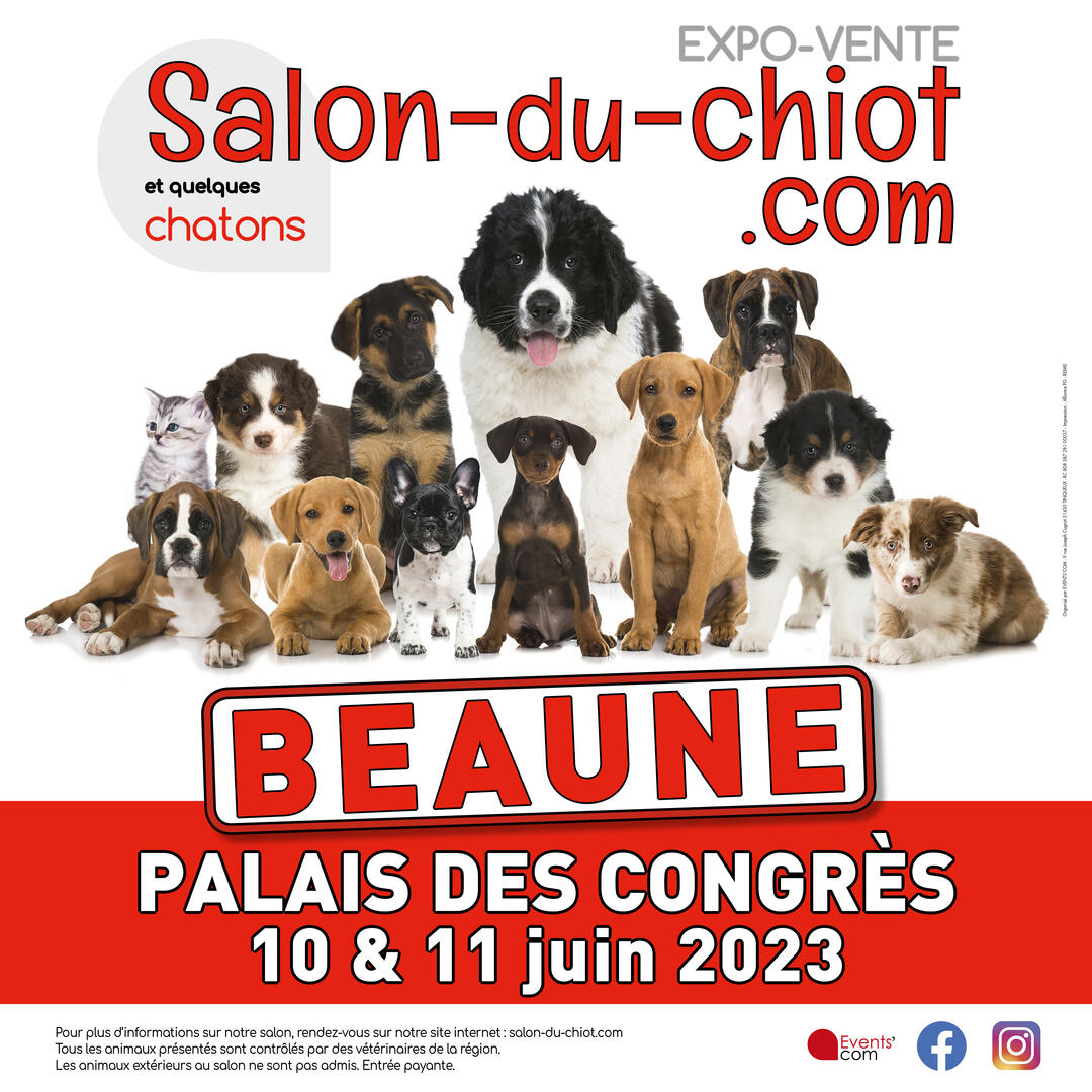 Affiche salon du chiot