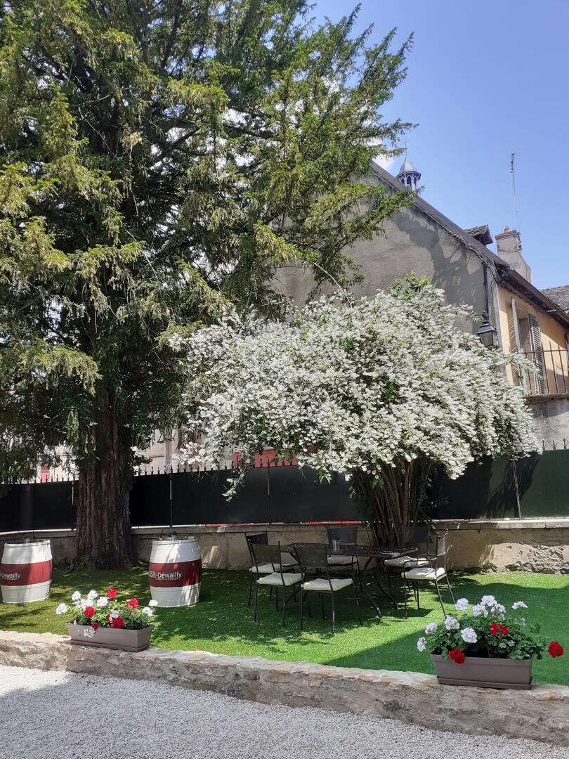 Jardin