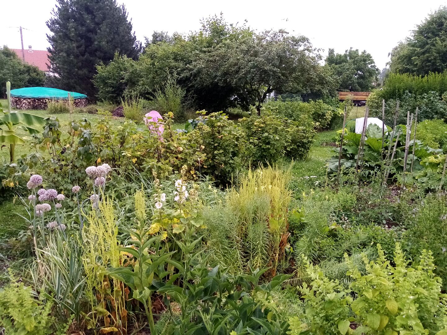 Jardin