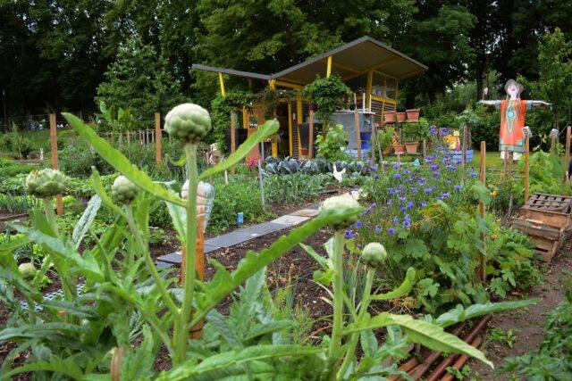 Jardin