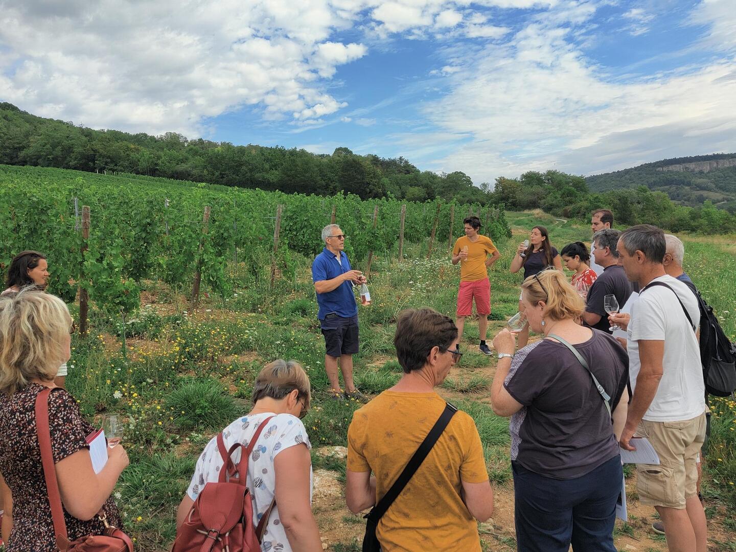 Tour dans les vignes