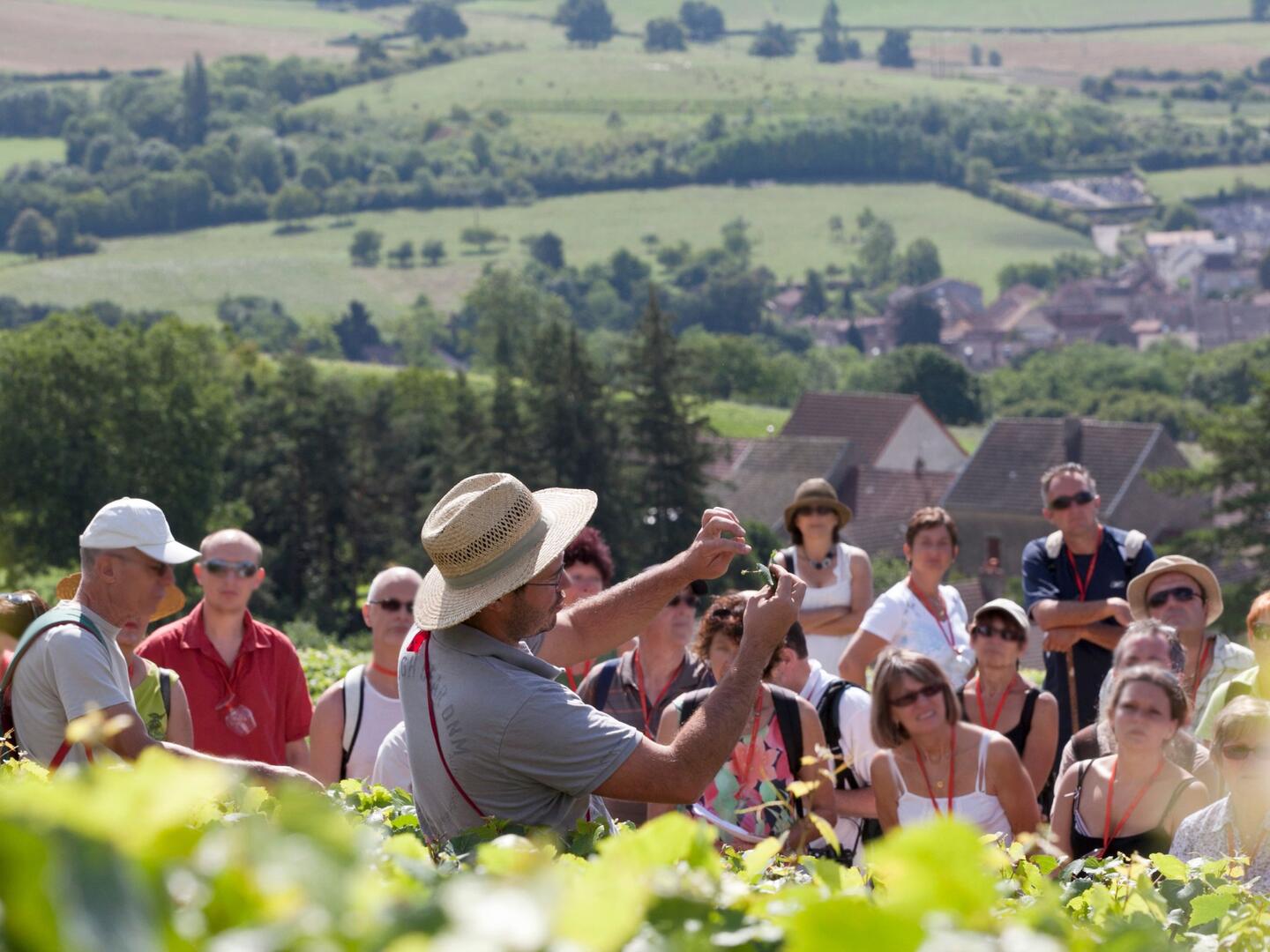 OeNolay Tour avec Nicolas Monnot, vigneron