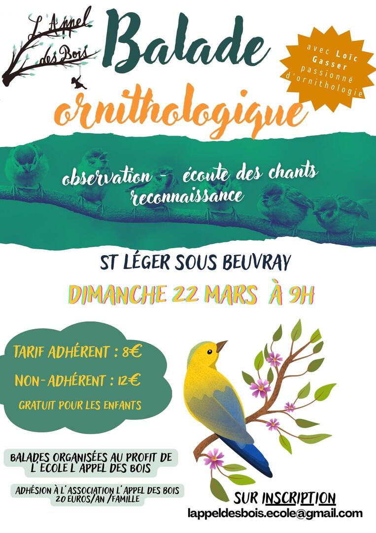 Partez à la découverte des plantes sauvages comestibles avec Elodie ! - 17