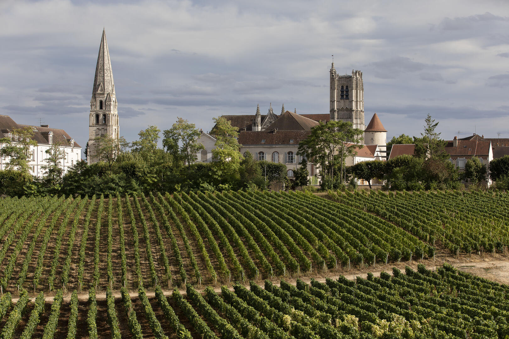 Le quartier vigneron