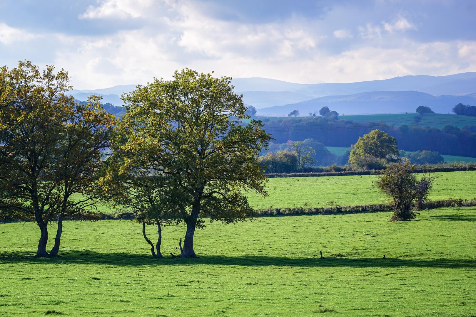 Campagne en automne