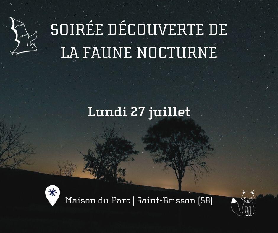 Soirée nocturne Maison du Parc - Saint-Brisson (58) Lundi 27 juillet - 1