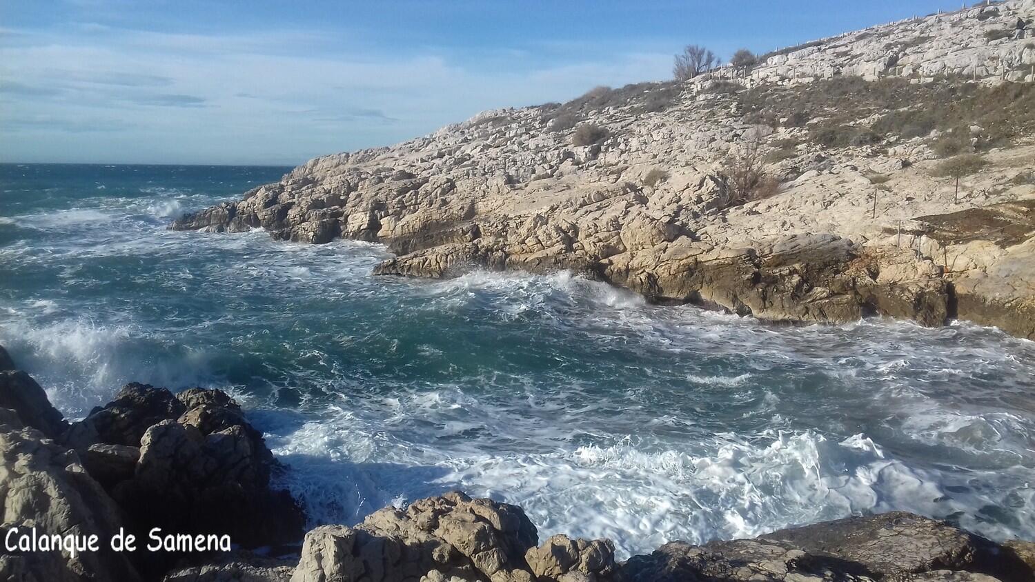 Samena aujourd'hui