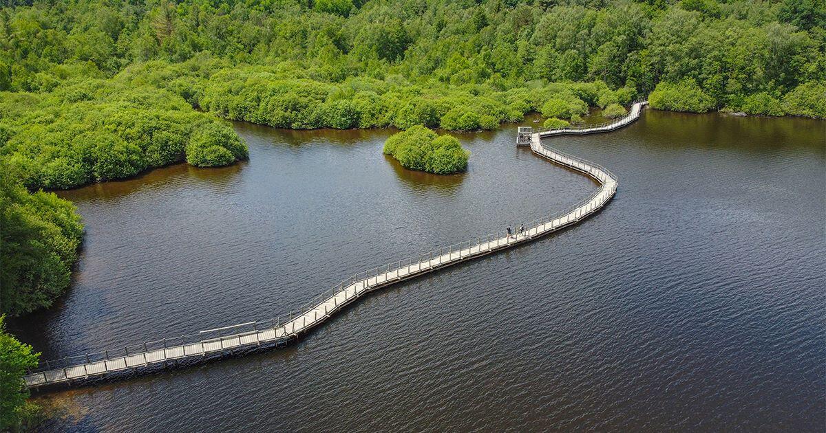 Settons passerelle
