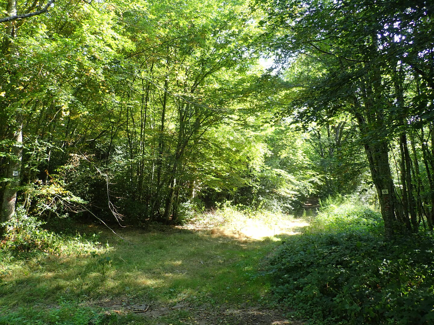 Site Natura 2000