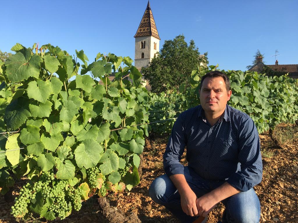 Wine---tours-994d1ea2a33843f2aba9ee53f66bbcc5