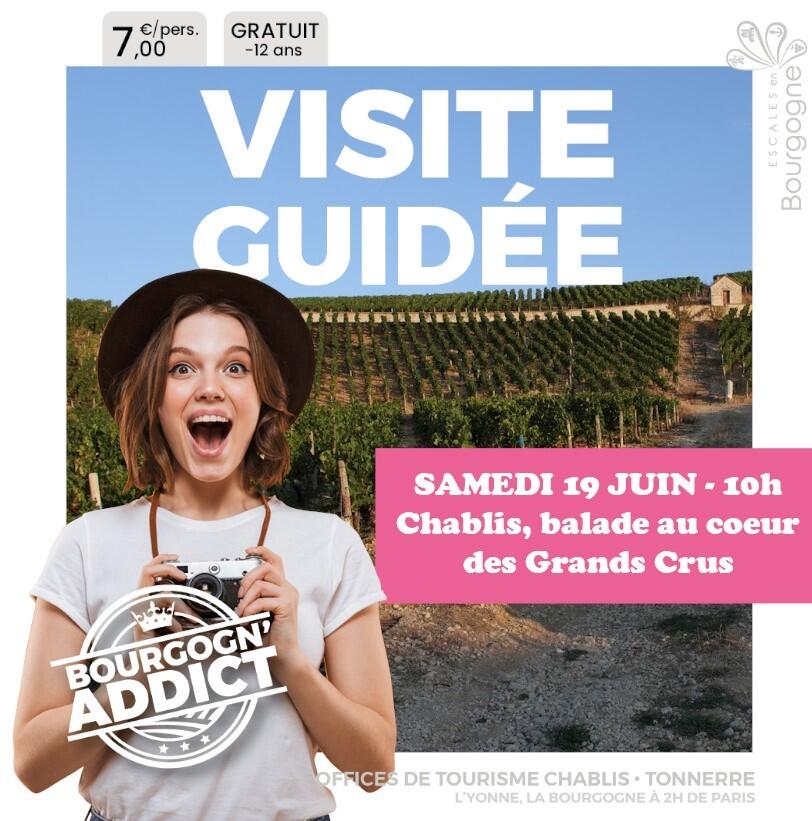 VG Chablis
