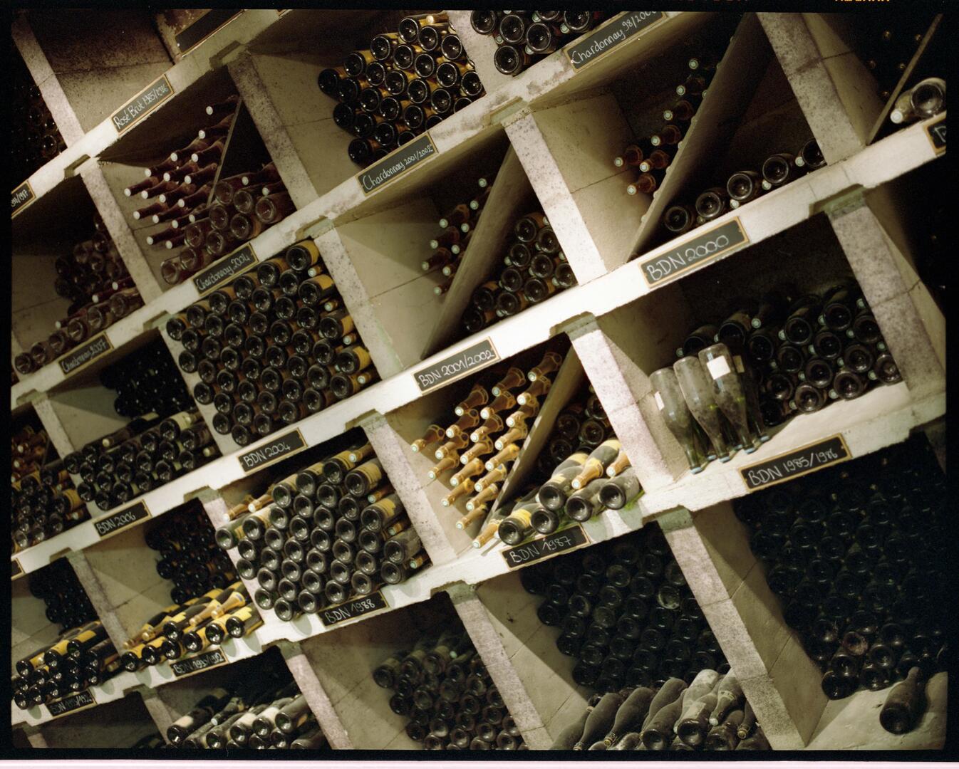 Vinothèque-11