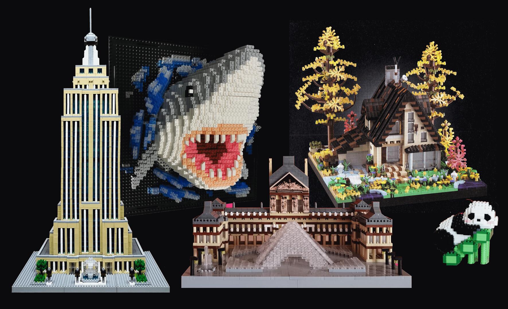 Visuel Micro-briques