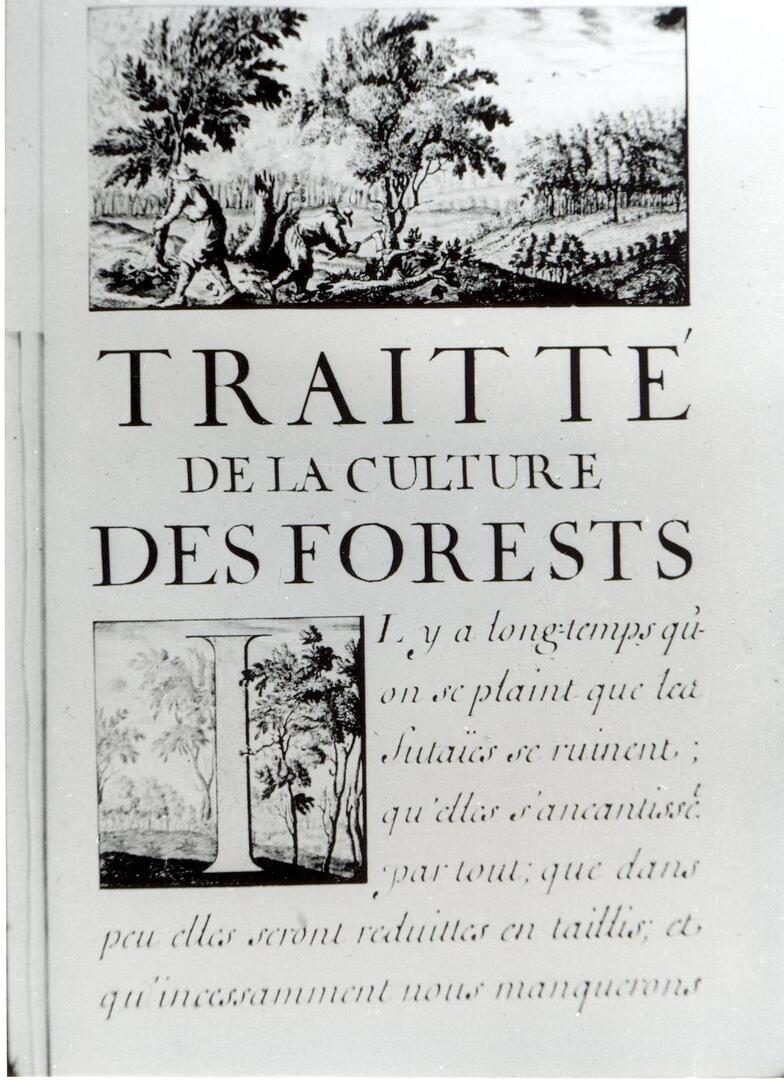 Visuel-Traite-sur-la-foret