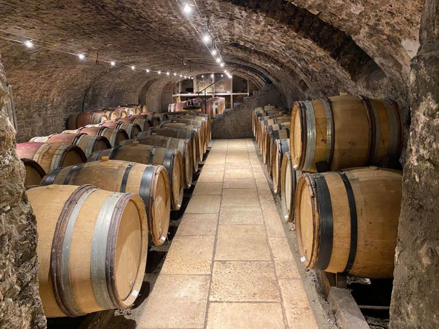 cave-fûts-saint-romain