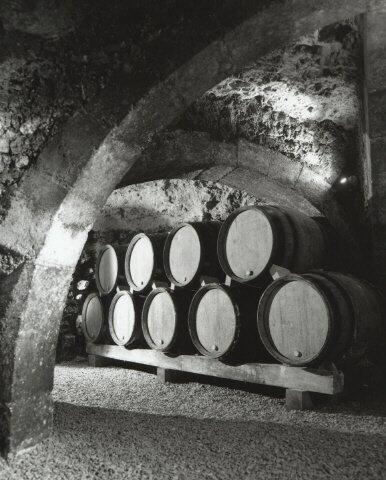 Cave XIème Domaine Goisot Jean-Hugues et Guilhem